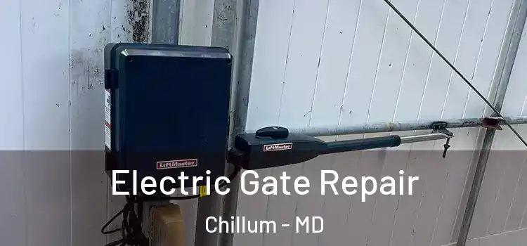 Electric Gate Repair Chillum - MD