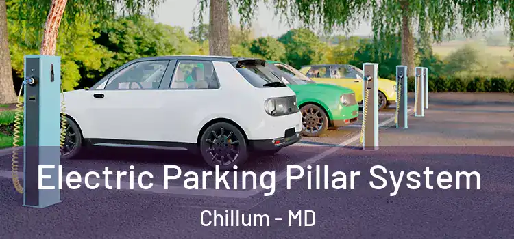 Electric Parking Pillar System Chillum - MD