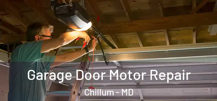  Garage Door Motor Repair Chillum - MD