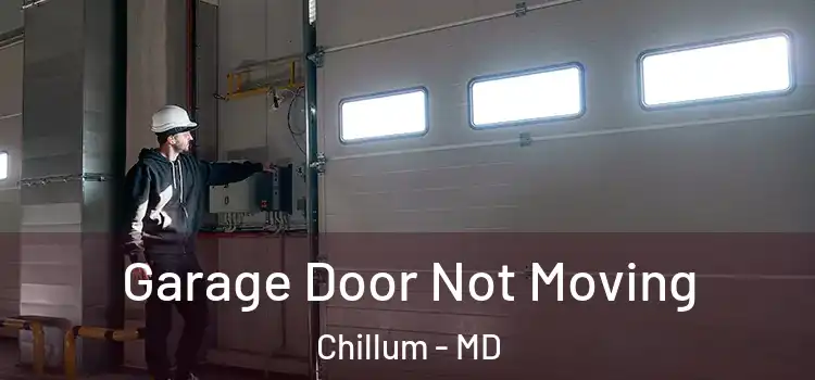  Garage Door Not Moving Chillum - MD