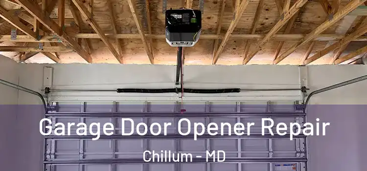  Garage Door Opener Repair Chillum - MD
