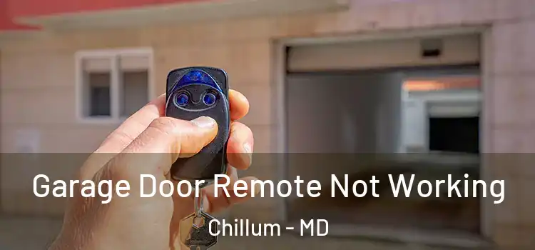  Garage Door Remote Not Working Chillum - MD