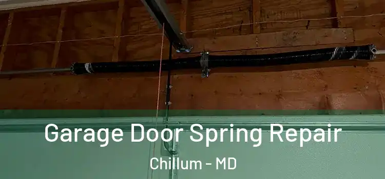  Garage Door Spring Repair Chillum - MD