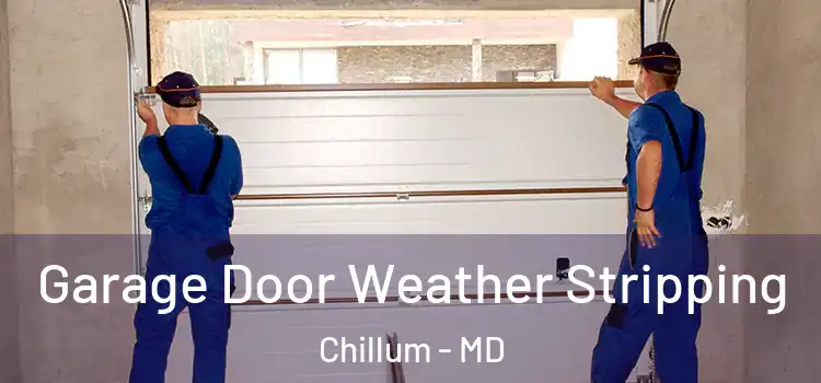  Garage Door Weather Stripping Chillum - MD