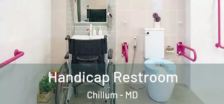  Handicap Restroom Chillum - MD
