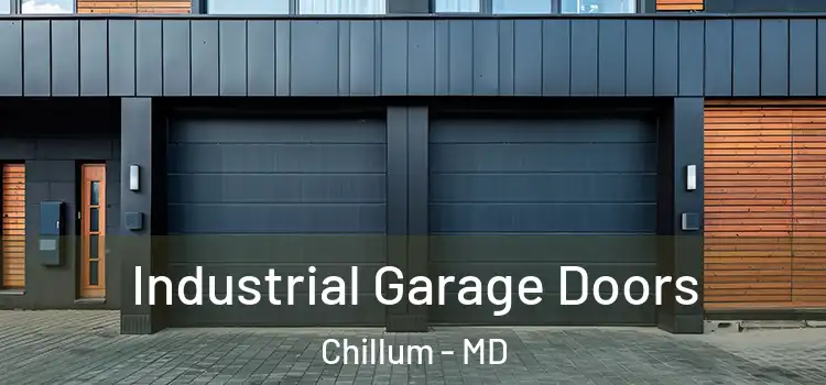  Industrial Garage Doors Chillum - MD