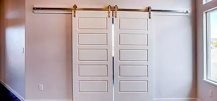 Glass Barn Door with Installation Hardware Kit Chillum