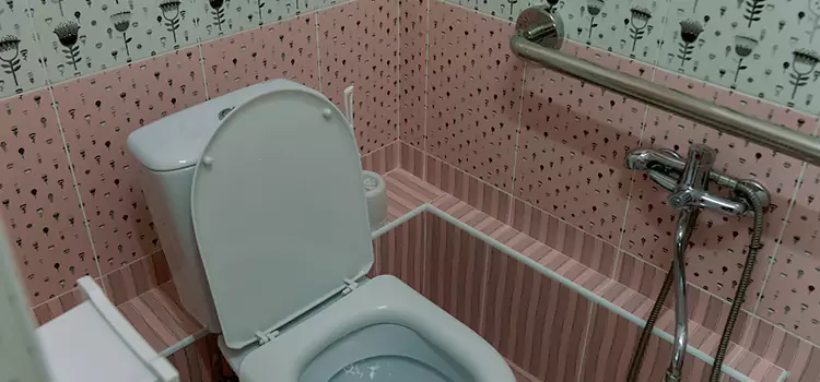 Meeting Diverse Needs With Accessible Restroom Solutions in Chillum, MD