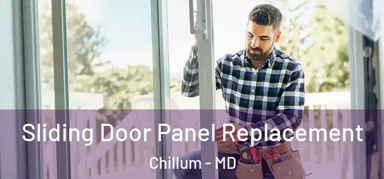  Sliding Door Panel Replacement Chillum - MD