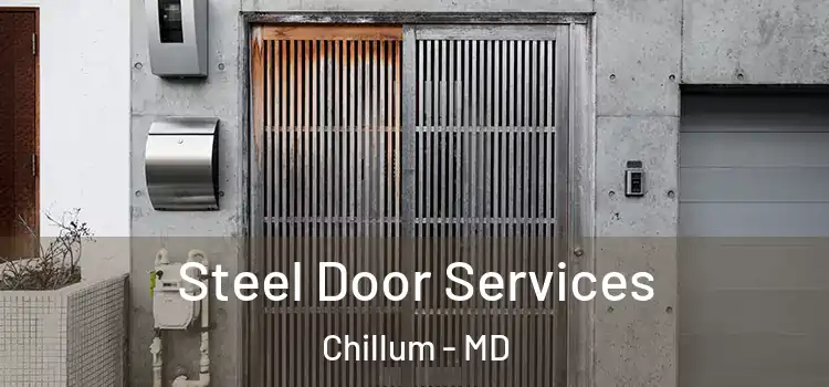  Steel Door Services Chillum - MD